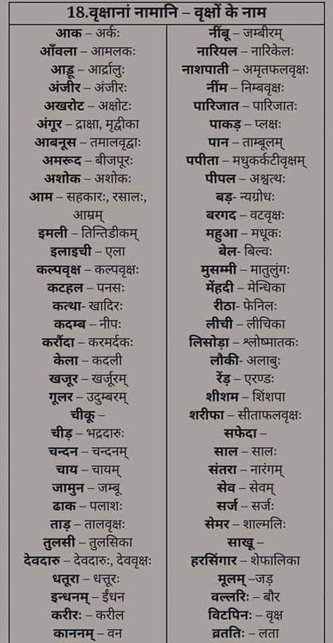 Sanskrit Language Learning, Sanskrit Words With Meaning, Sanskrit Learning, Being Doctor, Sanskrit Vocabulary, Sanskrit Grammar, Ancient Wisdom Quotes, Ancient Indian History, Sanskrit Language