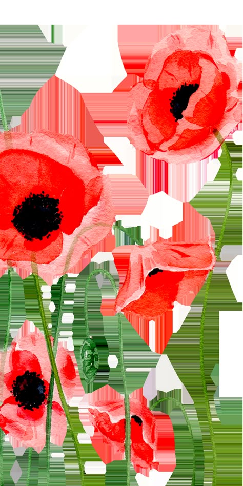 Ethereal Wallpaper, Small Garden Design Ideas, Ideas Portadas, Botanical Flowers Print, Poppy Wallpaper, Wallpaper Aesthetics, Aesthetic Garden, Garden Aesthetic, Abstract Flower Painting