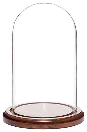 Plymor Brand 4" x 7" Glass Display Dome Cloche (Walnut Ba... https://smile.amazon.com/dp/B006XIQRU0/ref=cm_sw_r_pi_dp_x_nn.Iyb0QR1X0C Glass Dome Display, Glass Dolls, Retail Store Display, Glass Cloche, Doll Display, The Bell Jar, Glass Display, Display Stands, Decor Display