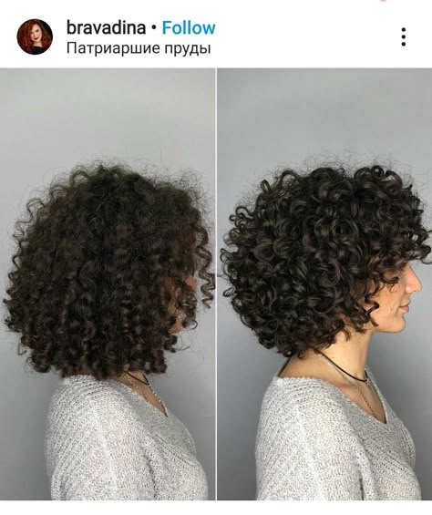 Round Short Curly Haircut, Circle Curly Haircut, Curly Bob Hairstyles Round Face, 3b Curly Hair Short Styles, 3b Bob Curly Hair, Naturally Curly Bob With Bangs, Rezo Cut Curly Hair Short, Short Curly Cuts For Round Faces, Short Curly Hair Cuts For Round Faces