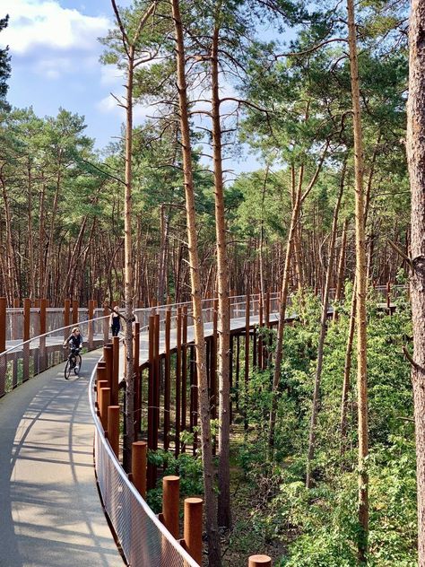 Bicycle Lane Landscape Design, Bicycle Track Landscape Design, Natural Cycle Tracking, Bicycle Park, Bike Fitting Road, Forest Resources, Water Projects, Public Space Design, Landscape Design Plans