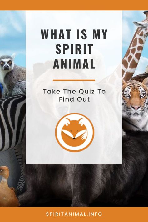 My Spirit Animal, How To Find Spirit Animal, Spirit Animals, How To Find Your Spirit Animal, Spirit Animal List, Fox Spirit Animal Meaning, How To Find My Spirit Animal, What Is My Spirit Animal, Finding Your Spirit Animal