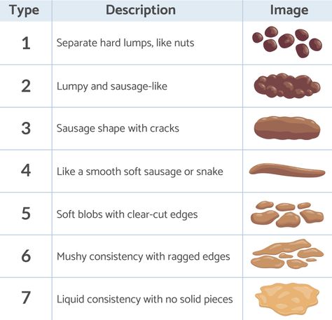 Stool Color Chart, Bristol Stool, Stool Chart, Bristol Stool Chart, Fecal Matter, Soft Stool, Mayo Clinic, Real Facts, Follow For More