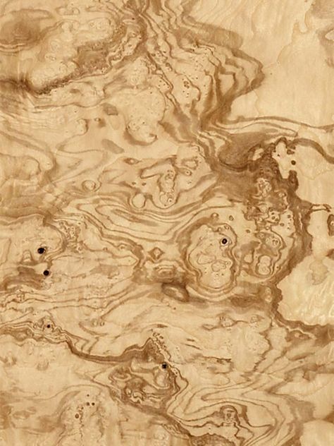 Olive Ash Burl Venner Texture, Veneer Texture, Light Stripes, Wood Burl, Photoshop Rendering, Interior Wallpaper, Wood Joinery, Grain Texture, Material Textures