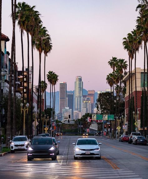 General Aesthetic, Night Views, Los Angeles Street, Valley Girl, Los Angeles Travel, I Love America, Cali Girl, Super Rich, Living In La