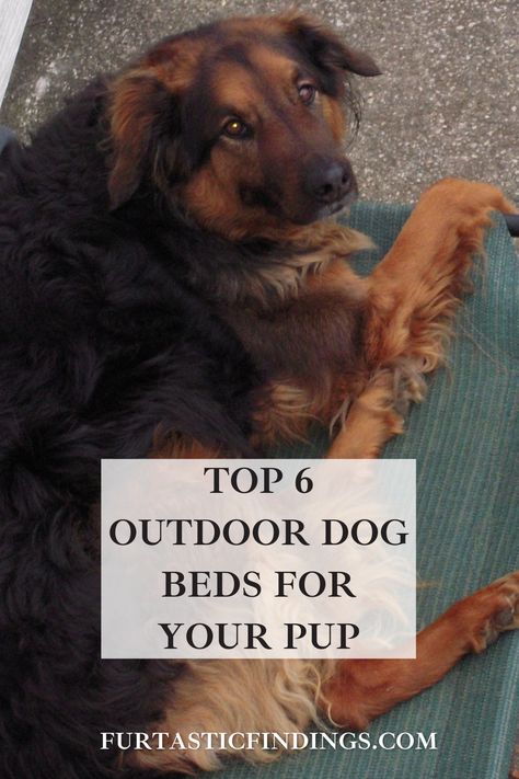 With the right outdoor dog bed for your pup, your dog can rest while feeling at home – no matter where they are. Outdoor Dog Beds, Feeling At Home, Elevated Dog Bed, Outdoor Dog Bed, How Do You Clean, Cool Dog Beds, Dog Products, Types Of Dogs, Types Of Beds