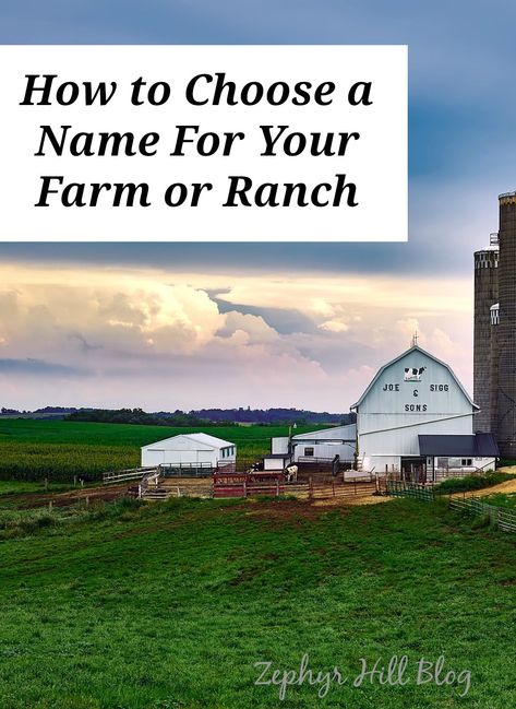 Looking for the perfect name for your piece of Heaven on Earth? This is full of name ideas for farms and ranches! Farmhouse Names, Homestead Names Ideas, Naming Your Farm, Farm Names Unique, Names For Farms, Farm Names Ideas, Farm Tools With Names, Ranch Names Ideas, What Do We Get From Farm Animals