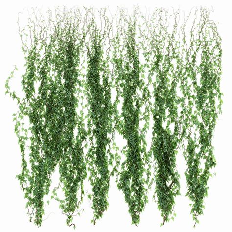 Indoor Ivy, Hanging Decoration Ideas, Hanging Plants Ideas, Inside House Plants, Texture Landscape, Collage Png, Photoshop Landscape, Tree Photoshop, Ivy Wall