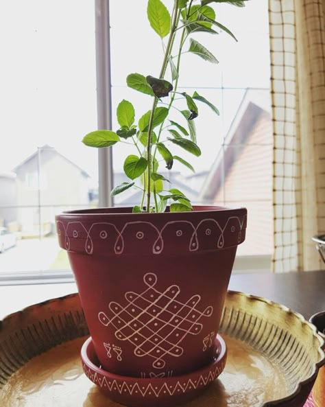 Tulasi madam @ home #kolam #indianhomedecor #myhomemyhappiness Tulasi Plant In Balcony, Tulasi Kota Designs In Balcony, Tulsi Pot Design In Balcony, Tulsi Plant Decor, Tulasi Pooja Decoration, Tulasi Pot Design, Tulasi Kota Designs, Pot Drawing Ideas, Tulasi Plant