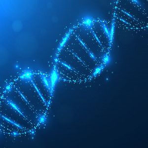 dna ligase, dna replication, dna ligase inhibitors,Ligase Market, Ligase Market report , Ligase industry Phosphodiester Bond, Dna Ligase, Dna Polymerase, Dna Replication, Dna Molecule, Human Dna, Cell Line, Dna Repair, Molecular Biology