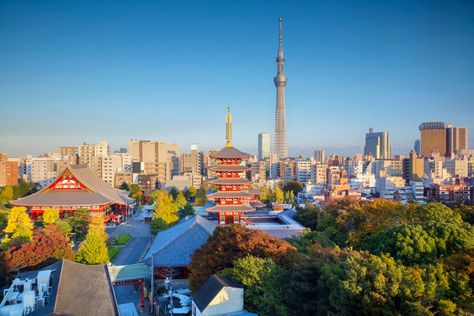 The Best Things To Do in Tokyo This Month: October 2024 Sunset In Japan, Tokyo Cityscape, Things To Do In Tokyo, Tokyo Skyline, Violet Garden, Tokyo Restaurant, Autumn Sunset, Tokyo Tower, Ski Holidays