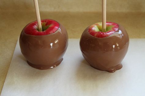 Chocolate Dipped Apples | GlutenFreeBaking.com Chocolate Dipped Apples On A Stick, Chocolate Dipped Apple Slices, Apple Slices Dipped In Chocolate, Sliced Apples Dipped In Chocolate, Caramel Apples Dipped In Chocolate, Chocolate Dipped Apples, Melt Chocolate For Dipping, Chocolate Dip Recipe, Dipped Apples