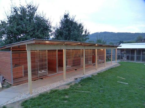 Nice Outdoor Dog Kennels, Dog Fence Diy, Outdoor Dog Kennel Ideas Backyards, Dog Kennel Roof, Dog Breeders Kennels, Building A Dog Kennel, Outdoor Dog Area, Kennel Ideas Outdoor, Dog Boarding Ideas