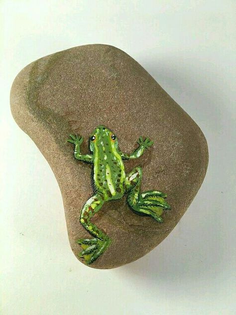 Painted Rock Ideas Creative, Painting Frogs On Rocks, Frog On Rock Painting, Rock Painting Crafts, Painting Frogs Ideas, Paint On Rocks Ideas, Painting On Rocks Ideas Acrylics, Green Rock Painting Ideas, Rock Painting Frog