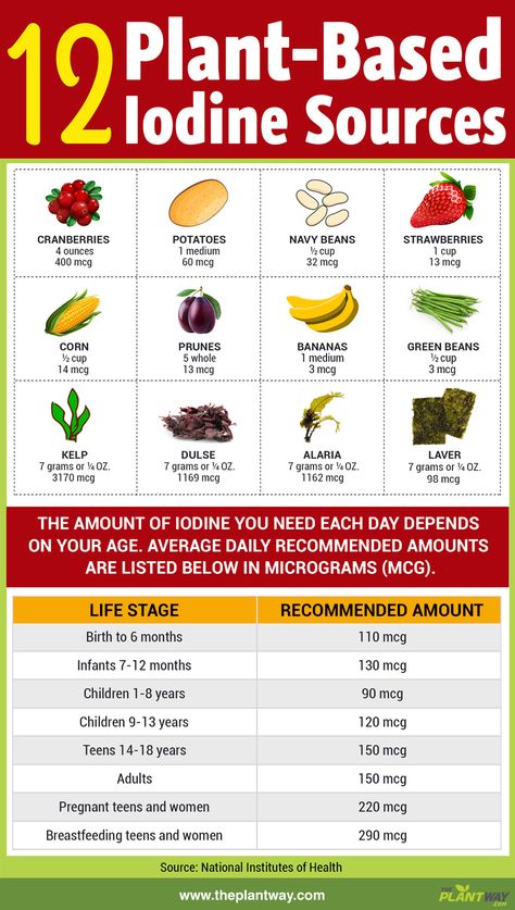 12 Vegan Sources of Iodine (Infographic) Foods With Iodine, Iodine Rich Foods, Sources Of Iodine, Probiotic Foods, Vegan Diet, Plant Based Diet, Health Remedies, Vitamins And Minerals, Health And Nutrition