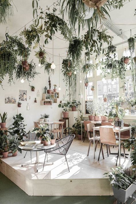 Deco Jungle, Trendy Plants, Hanging Plants Indoor, Decor Studio, Best Indoor Plants, Garden Cafe, Indoor Gardens, Plant Decor Indoor, Room With Plants