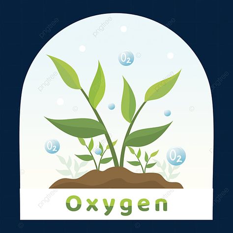 Tree Vector Png, Oxygen Plant, Plants Vector, Spring Scenery, Green Leaf Background, Vector Nature, Forest Scenery, Plant Vector, Plant Images