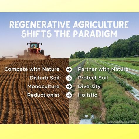 Solution # 11! Not a simple one to explain. But to quote Drawdown "Regenerative agriculture is one of the greatest opportunities to… No Till Farming, Agriculture Photography, Regenerative Agriculture, Farming Business, Agriculture Education, Permaculture Gardening, Agriculture Farming, Sustainable Agriculture, Food Forest