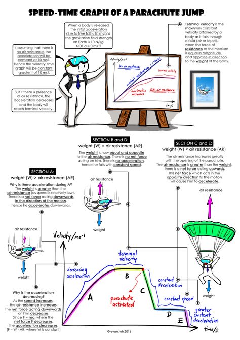 Velocity-Time Graph of Parachute Jump | Evan's Space Mathematical Physics, Speed Distance Time, Physics Study, Physics 101, Pendulum Balls, Longitudinal Wave, Parachute Jump, Terminal Velocity, Ap Physics