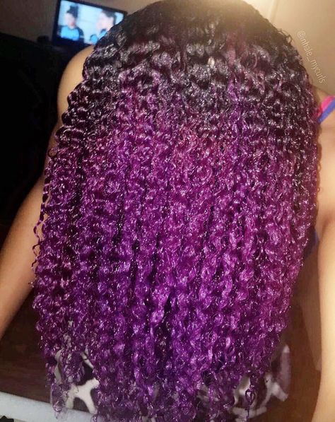 Black And Purple Hair, Purple Natural Hair, Dyed Curly Hair, Dyed Hair Inspiration, Dyed Natural Hair, Pelo Afro, Natural Hair Beauty, Hair Laid, Natural Hair Inspiration