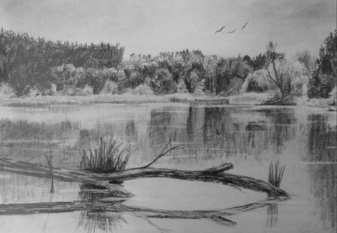 We all love scenes in nature that have reflective water in them, but how do we draw a scene like this? In this class I will show you how and in the process you will learn: 1) How to draw a mass of foliage 2) How to get a likeness of the scene without trying to draw every leaf in the correct place 3) How to draw reflective water 4) and much more... Landscape Studies, Pencil Landscape, How To Draw Water, Basic Sketch, Reflection Drawing, Draw Water, Drawing Scenery, Illusion Drawings, Tree Drawings Pencil