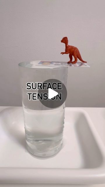 Science for Kids | Surface tension science activity 💧

✨Ever tried balancing a card on a full glass of water? It’s a simple trick that can turn into a... | Instagram Science Lesson, Surface Tension, Science Activity, Water Molecule, Glass Of Water, Science Lessons, Lessons For Kids, Play To Learn, Science For Kids