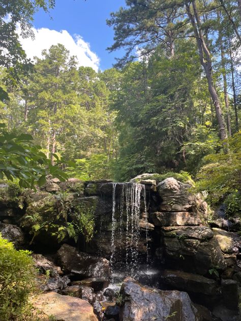 Hot Springs Arkansas Aesthetic, Hot Springs National Park Arkansas, Hot Springs Aesthetic, Arkansas Landscape, Arkansas Aesthetic, Arkansas Hot Springs, Garvan Woodland Gardens, Hoco 2023, Taurus Energy