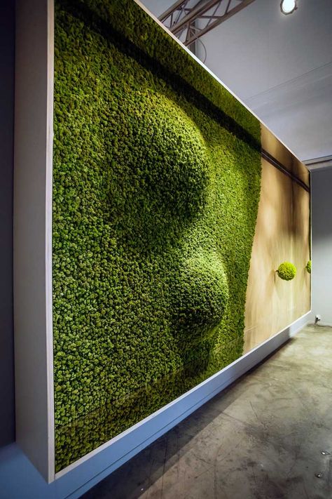 Green Dunes by Aldo Cibic for Blumohito Mos Wand, Ideas Terraza, Green Wall Design, Green Facade, Vertical Garden Wall, Moss Wall Art, Moss Wall, Green Architecture, Wall Garden