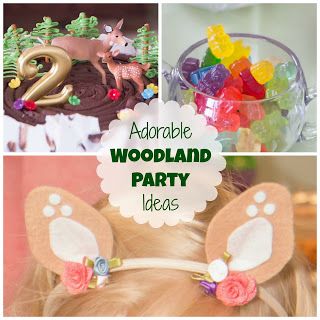 Ideas to Host an Adorable Woodland Birthday Party - Life with Moore Babies Woodland Party Ideas, Fairytale Birthday Party, Adventure Birthday Party, Fairytale Birthday, Woodland Party Theme, Forest Birthday, Woodland Birthday Party, Rustic Party, Woodland Birthday