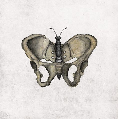 pelvis + butterfly | Eller's Artists Advanced Higher Art, Alexandria City, Optical Illusion Tattoo, Natural Form Art, Lady Bug Tattoo, Cool Tattoo Drawings, Gcse Art Sketchbook, Recycled Art Projects, Alexandria Virginia