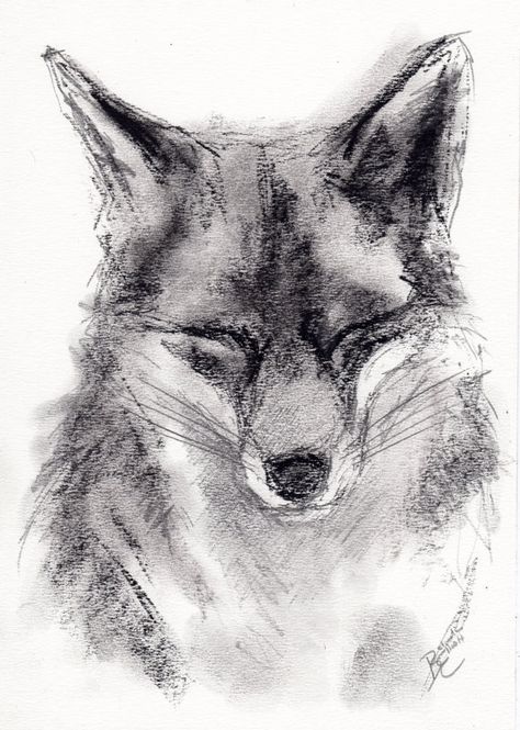 Carbon Drawings, Charcoal Art Easy, Simple Charcoal Drawing, Coal Drawing, Fox Drawing, Art Charcoal, Charcoal Pencil, Charcoal Sketch, Cool Pencil Drawings