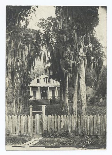 Abandoned Plantations, Southern Aesthetic, Louisiana Plantations, New Orleans History, Louisiana Bayou, Louisiana History, Southern Plantations, Emily Rose, American Gothic