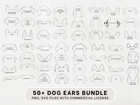 Morkie Ear Tattoo, Dog Breed Ear Outline, Shih Tzu Ears Outline, Havanese Dog Tattoo, Havanese Tattoo, Sheltie Tattoo, Cocker Spaniel Tattoo, Circuit Fonts, Pet Ear Outline