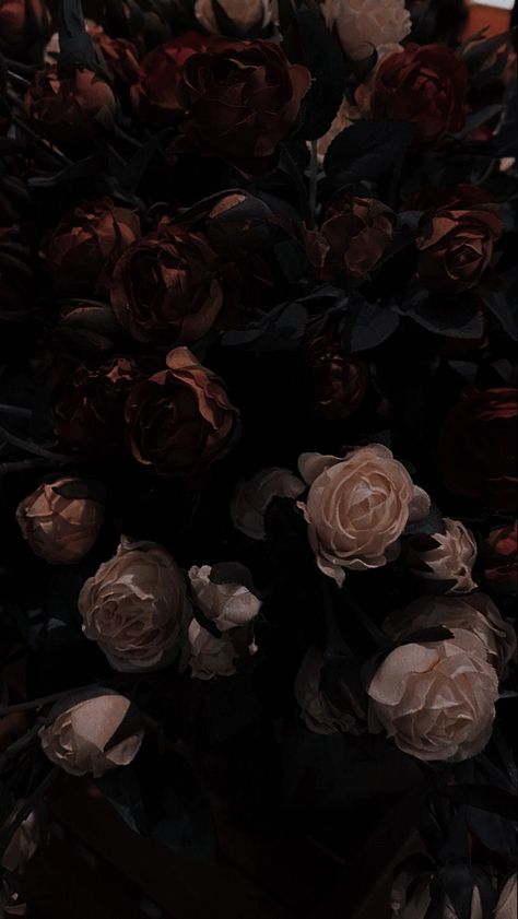 Dark Vintage Floral Wallpaper, Dark Roses Background, Dark Floral Aesthetic Wallpaper, Flowers With Dark Background, Dark Floral Wallpaper Iphone, Dark Flower Aesthetic Wallpaper, Dark Academia Flowers, Dark Academia Floral, Blood Wallpaper