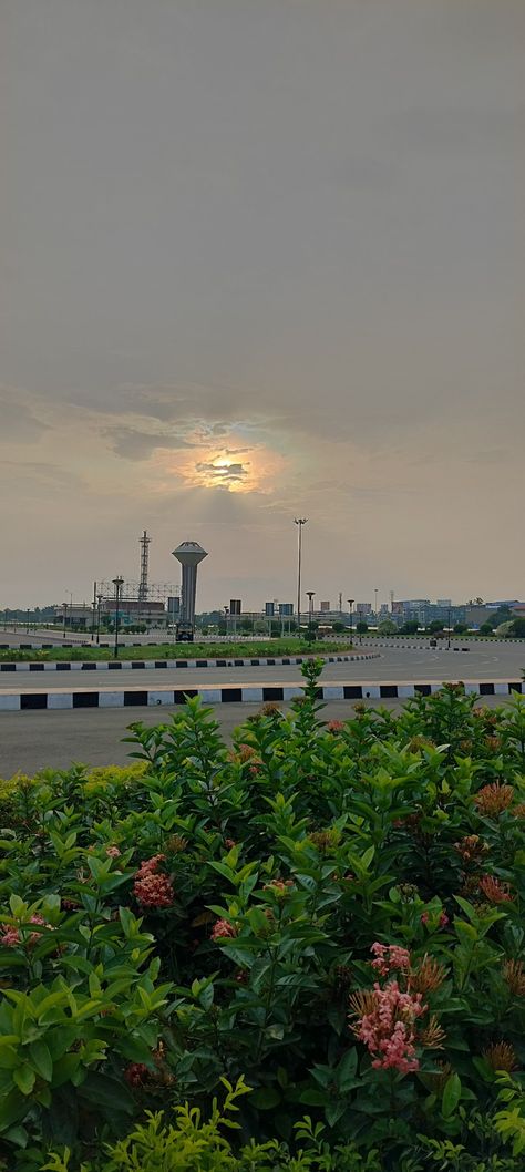 Sky🌿 Cochin International Airport, Flowers Photography Wallpaper, Aesthetic Pics, Photography Wallpaper, International Airport, Flowers Photography, Aesthetic Pictures, Vision Board, Flowers