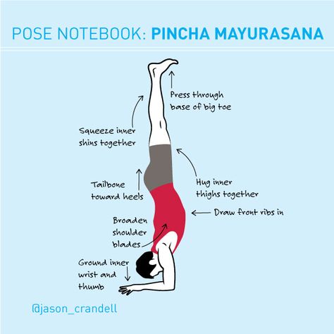 Pose Notebook: Avoid the Banana in Forearm Balance | Jason Crandell Vinyasa Yoga Method Standing Compass Pose, Compass Pose, Reformer Exercises, Yoga Inversions, Yoga Poses For Men, Men Yoga, Basic Yoga Poses, Yoga Vinyasa, Yoga Poses Advanced