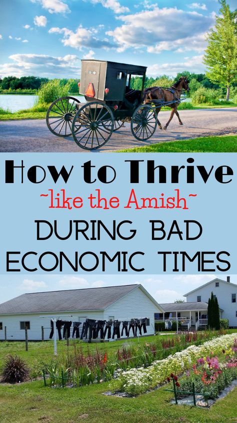 Survive Apocalypse, Homesteading Diy Projects, Off Grid Survival, Emergency Prepardness, Homesteading Diy, Survival Items, Homesteading Skills, Survival Life Hacks, Amish Recipes