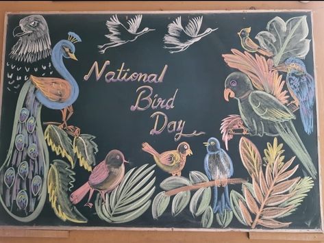 Blackboard Decoration for National Bird Day Blackboard Border Designs, Ptm Blackboard Decoration Ideas, Chalkboard Art Classroom, Chalkboard Decoration, Blackboard Decoration, Spring Chalkboard Art, National Bird Day, School Chalkboard Art, Chalk Markers Art