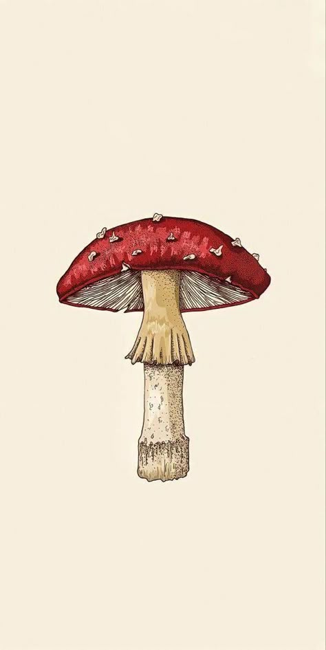 Fungi Illustration, Mushroom Wallpaper, Phone Wallpaper Patterns, Arte Inspo, Mushroom Art, Vintage Poster Art, Pretty Wallpapers, Aesthetic Art, Group Chat