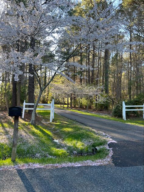 Spring School Aesthetic, Spring Decor Aesthetic, 4 Seasons Aesthetic, Start Of Spring Aesthetic, Winter Spring Aesthetic, Late Spring Aesthetic, Cute Spring Aesthetic, Winter To Spring Aesthetic, Cold Spring Aesthetic