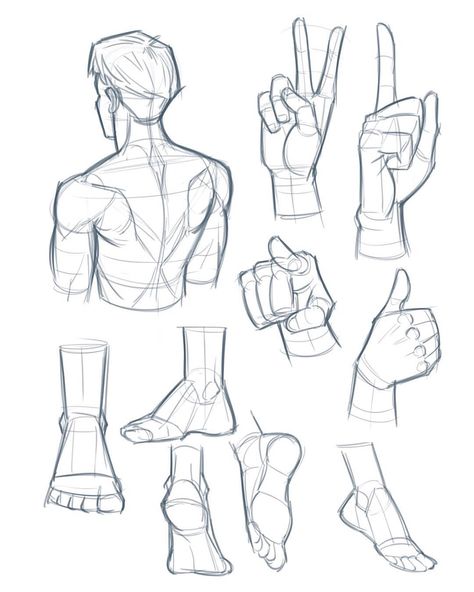 Zee Art, Human Figure Sketches, Drawing Hands, Body Sketches, Human Figure Drawing, Anatomy Sketches, Body Reference Drawing, Figure Sketching, Gesture Drawing