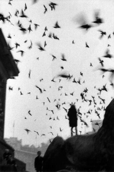 Life on the Streets: Sergio Larrain at Rencontres William Eggleston, Henri Cartier Bresson, Vivian Maier, Flock Of Birds, Trafalgar Square, Magnum Photos, Foto Art, A Hill, Black White Photos