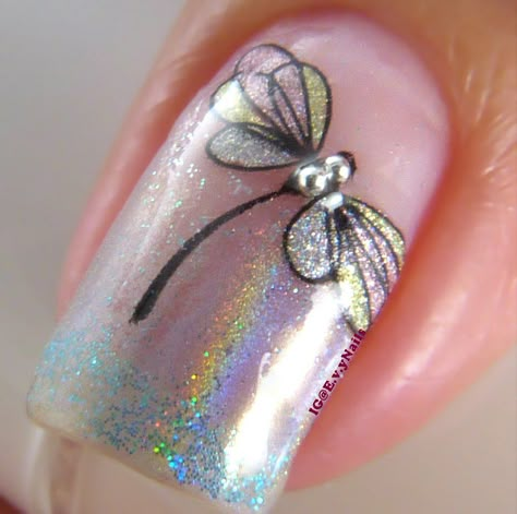 Nail Art Dragonfly, Dragon Fly Nails Design, Dragonfly Nail Art Designs, Nails With Dragonfly, Dragon Fly Nail Art, Dragonfly Nails Designs, Dragon Fly Nails, Dragonfly Nails, Insect Nails