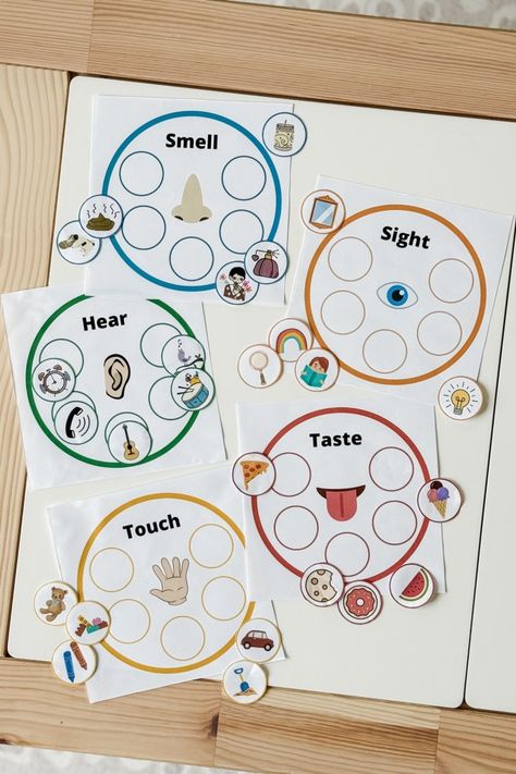 At-Home Preschool Activity Ideas for Toddlers: Sorting Activity for The Five Senses Five Senses Crafts For Kids, Preschool Senses Activities, My Five Senses Activities For Toddlers, Five Senses For Preschool, Five Senses Toddler Activities, Five Senses Crafts For Toddlers, 5 Senses Activities For Toddlers, Five Senses Preschool Activities, Five Senses Activities For Preschoolers