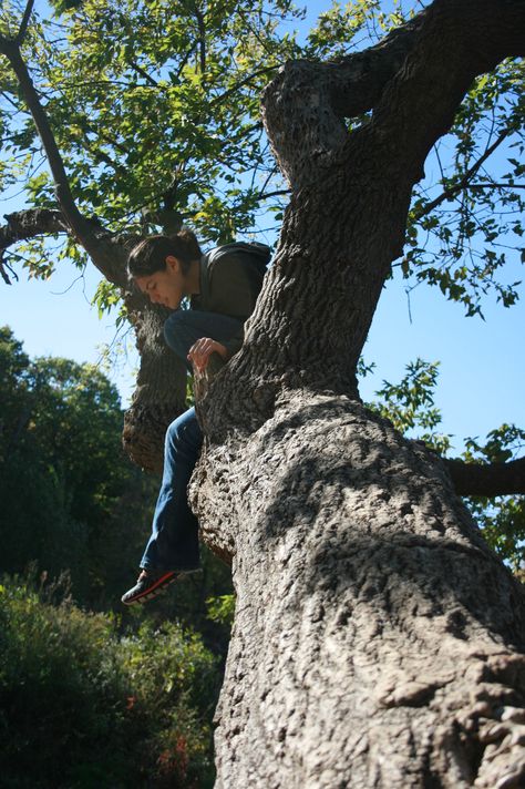 Nature People Photography, Person In Tree Reference, Sitting In A Tree Aesthetic, Sitting On A Tree Reference, Sitting On Tree Pose, People In Environments, Sitting In Tree Pose Reference, Hanging From Tree Pose Reference, Sitting In A Tree