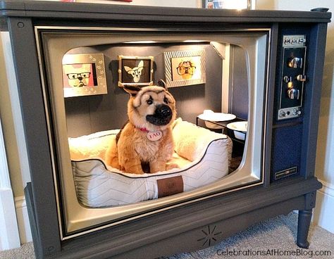 Unique Home Decor Ideas, Unique Dog Beds, Antique Bed Frame, Princess Dog Bed, Antique Furniture Makeover, Dog Closet, Antique Booth Ideas, Antique Bed, Dog Spaces