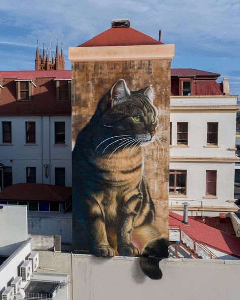 A mural by street artist Swiftmantis in Palmerston North, New Zeland😻 He created the giant portrait of the stray cat Squishee, whom he adopted, in 2021 The artist lost his beloved cat this August, but her memory will live in this masterpiece 🖼🌈 Grafitti Street, Street Art Utopia, Street Art Banksy, Sidewalk Art, Street Mural, 3d Street Art, Amazing Street Art, Alley Cat, Murals Street Art