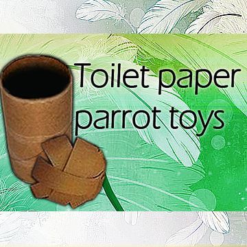 Bird Cage Diy, Paper Parrot, Conure Toys, Toys For Parrots, Homemade Bird Toys, Cockatiel Care, Diy Parrot, Diy Parrot Toys, Cockatiel Toys