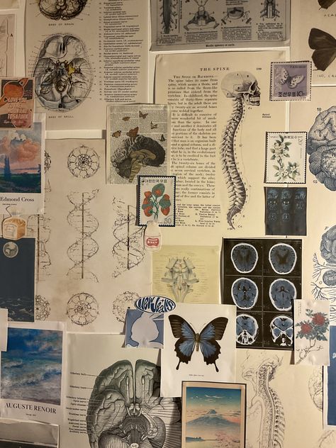 Medical Aesthetic Room, Science Aesthetic Room, Biology Academia Aesthetic, Med Student Apartment, Science Bedroom Aesthetic, Science Room Aesthetic, Biology Room Decor, Science Bedroom Decor, Science Bedroom