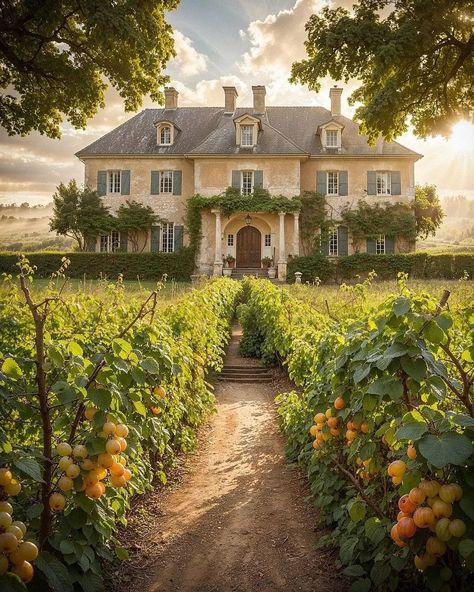 Gorgeous Houses 🏡 (@gorgeous_houses_) • Instagram photos and videos Winery Exterior, Vineyard Home, Vineyard Landscape, Vineyard House, Honeymoon Ideas, Cottage Exterior, Gorgeous Houses, Dream House Rooms, Dream Houses